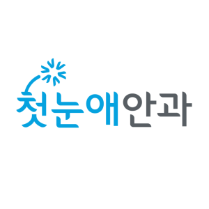 첫눈애안과